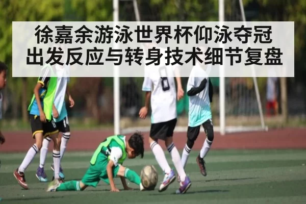 徐嘉余游泳世界杯仰泳夺冠 出发反应与转身技术细节复盘 | Fengniaoesports